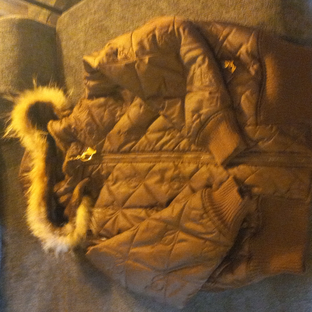 Baby phat coat like new